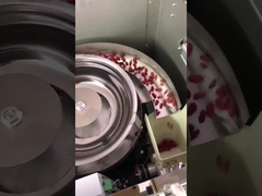 Maschine zur Verpackung von Granulaten mit mehreren Funktionen für Schokoladenbohnen