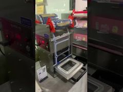 elektrischer Folienschweißgerät DF280YT