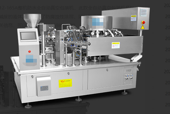 Fully Automatic Multi Packing Machine High Speed Bag Vacuum Packaging Machine