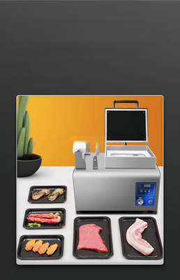 Automatic Food Vegetable Rice Fish Double Vacuum Chamber Sealer Sealing Machine