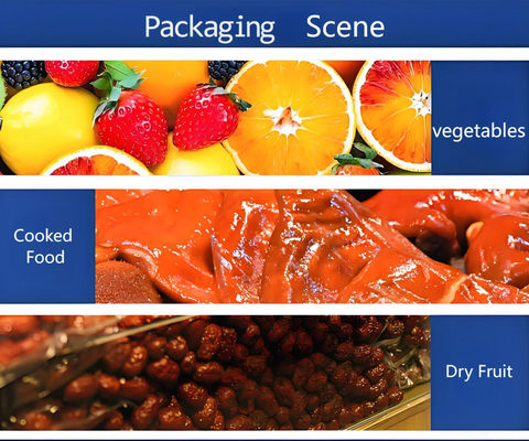 Stainless Steel Compact Manual Tray Sealer FR370E with 1 Year Warranty for Food Packaging