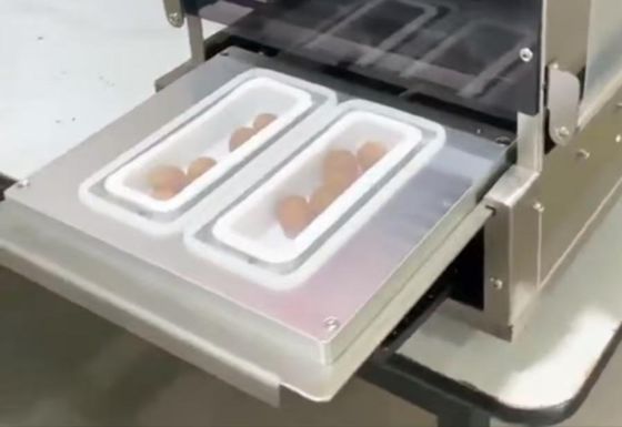 Factory Direct Sale High Quality Electric Packaging Fully Automatic DF250TA Food Tray for Fast Food Meat Pizza Sealer Machine