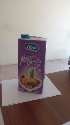 Semi Auto Gable Top Packaging Machine Carton Filling DH 1200  Roof Top