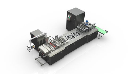 Automatic Paper Plastic Blister Multi Packing Machine 10-15 Times / Min