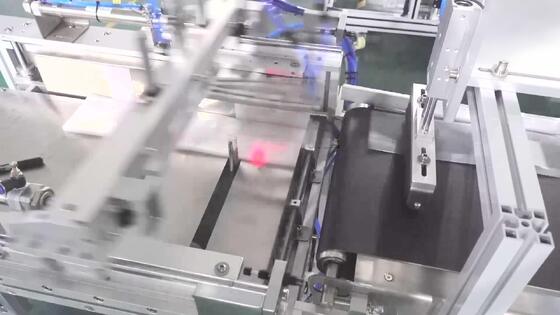 Manufacturer Direct Sale Fully Automatic Lift-and-Labeling Machine CH-602F for Food Self-Sealing Bags and PE Plastic Bags